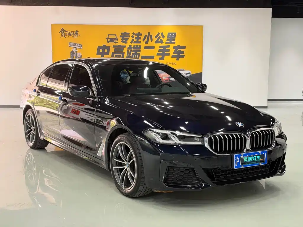 BMW 5 Series — миниатюра 3