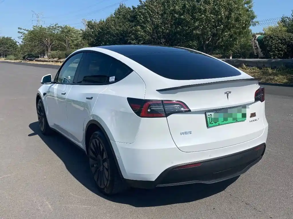 Tesla Model Y — миниатюра 4