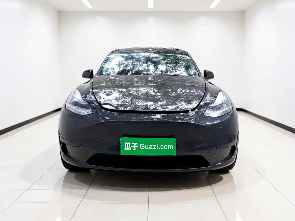 Tesla Model Y — миниатюра 2