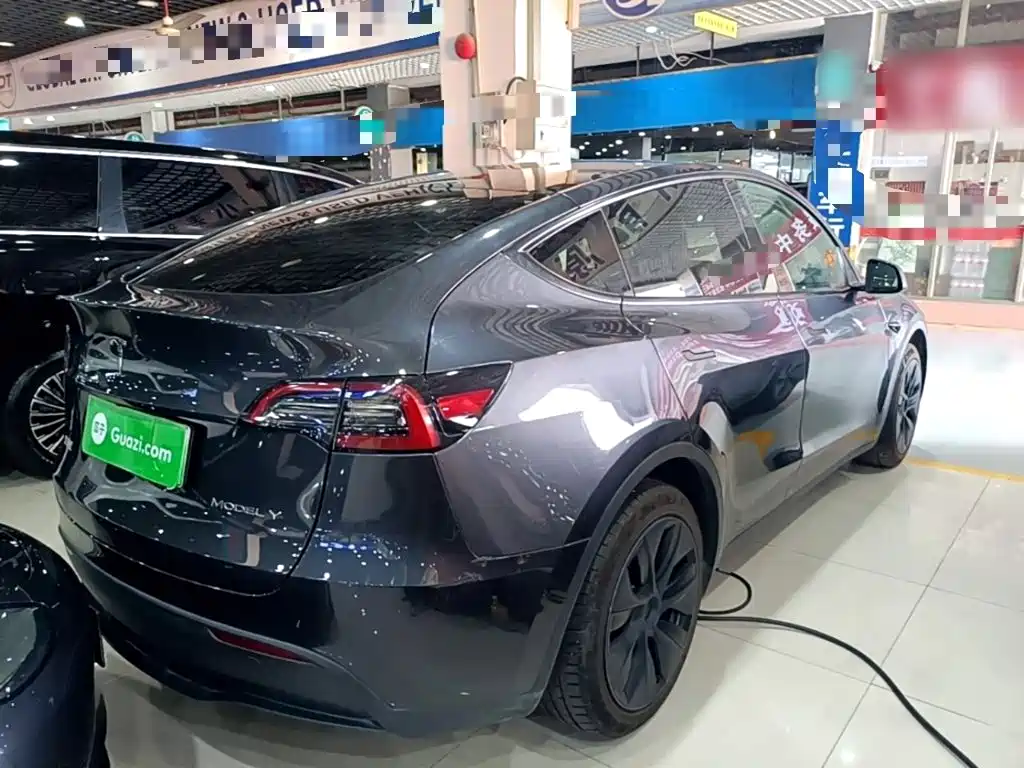 Tesla Model Y — миниатюра 7