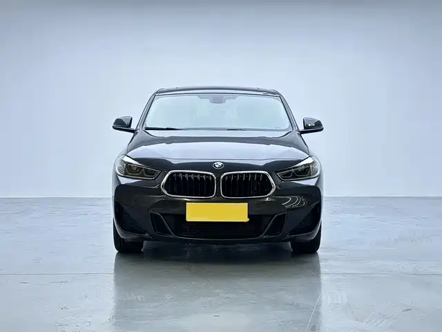 BMW X2 — миниатюра 2