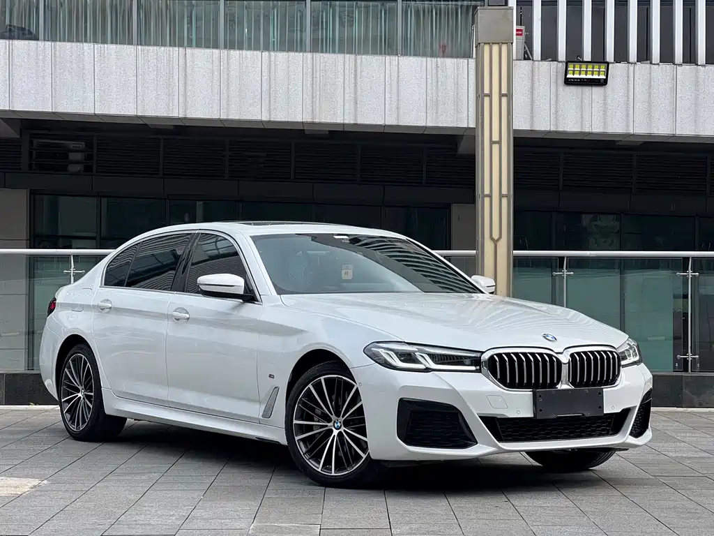 BMW 5 Series — миниатюра 3
