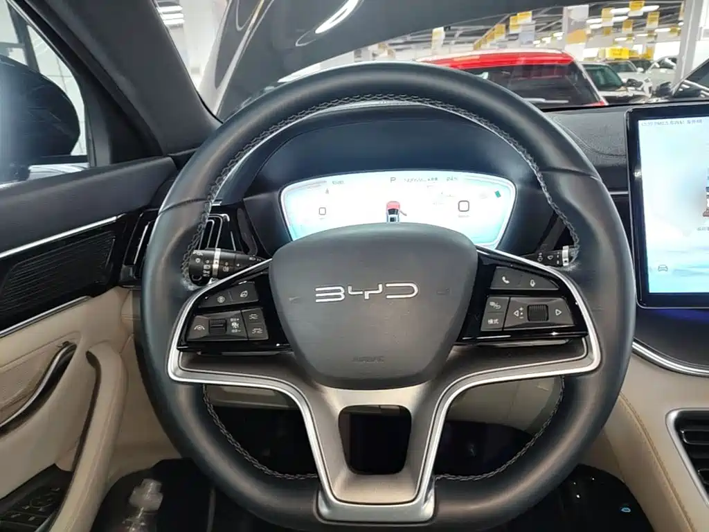 BYD PLUS New Energy — миниатюра 11