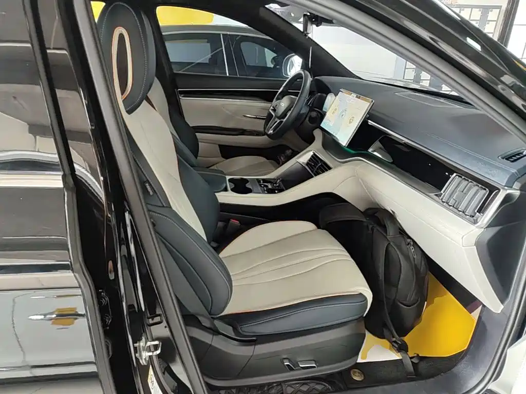BYD PLUS New Energy — миниатюра 25