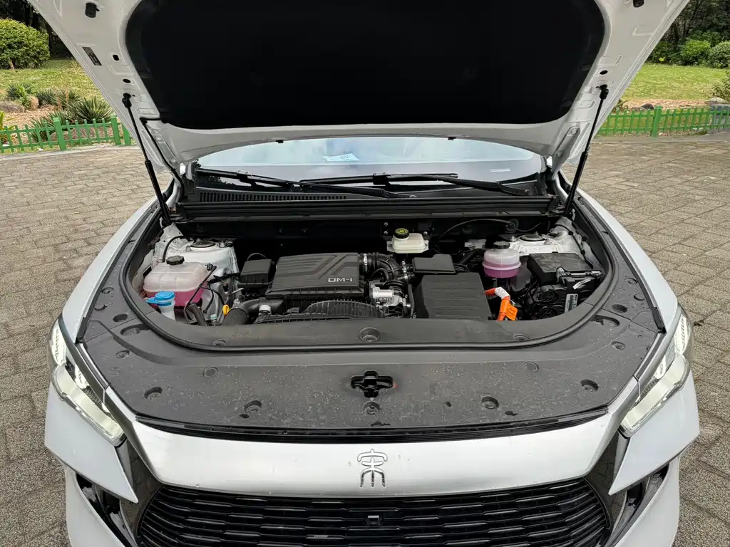 BYD Pro New Energy — миниатюра 10