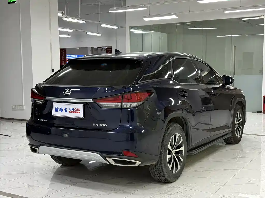 Lexus RX — миниатюра 6
