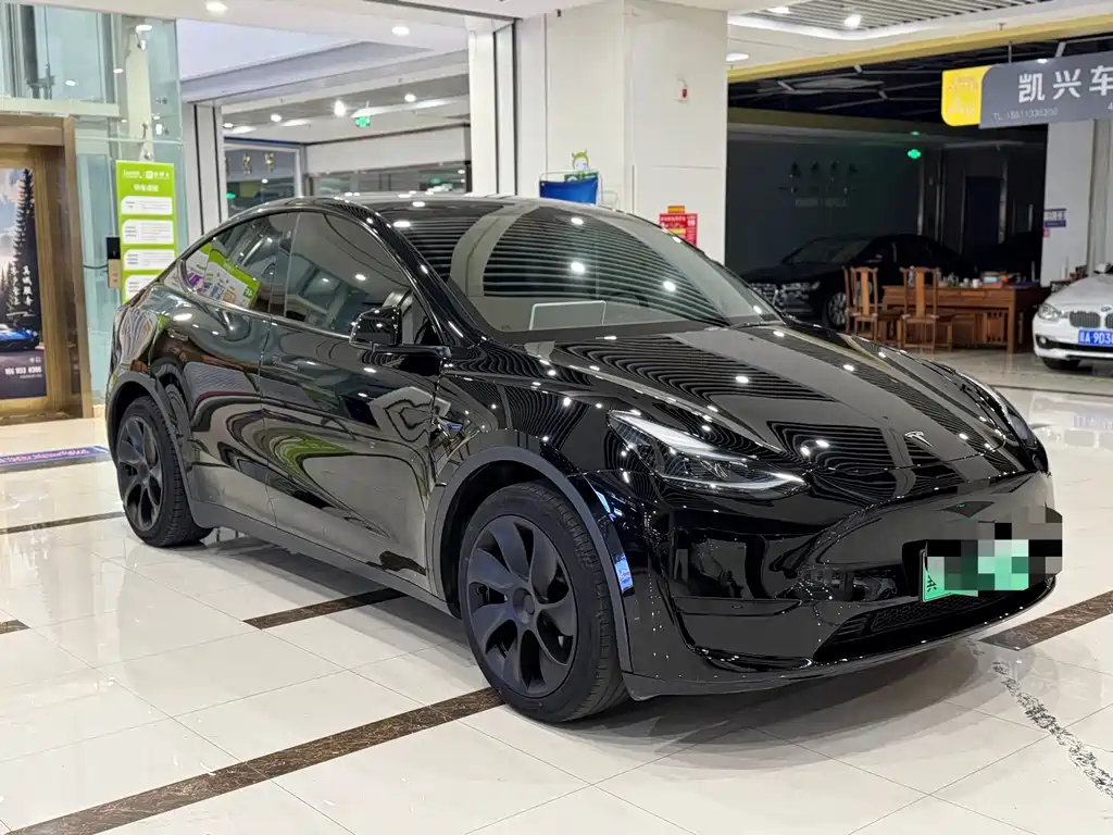 Tesla Model Y — миниатюра 3