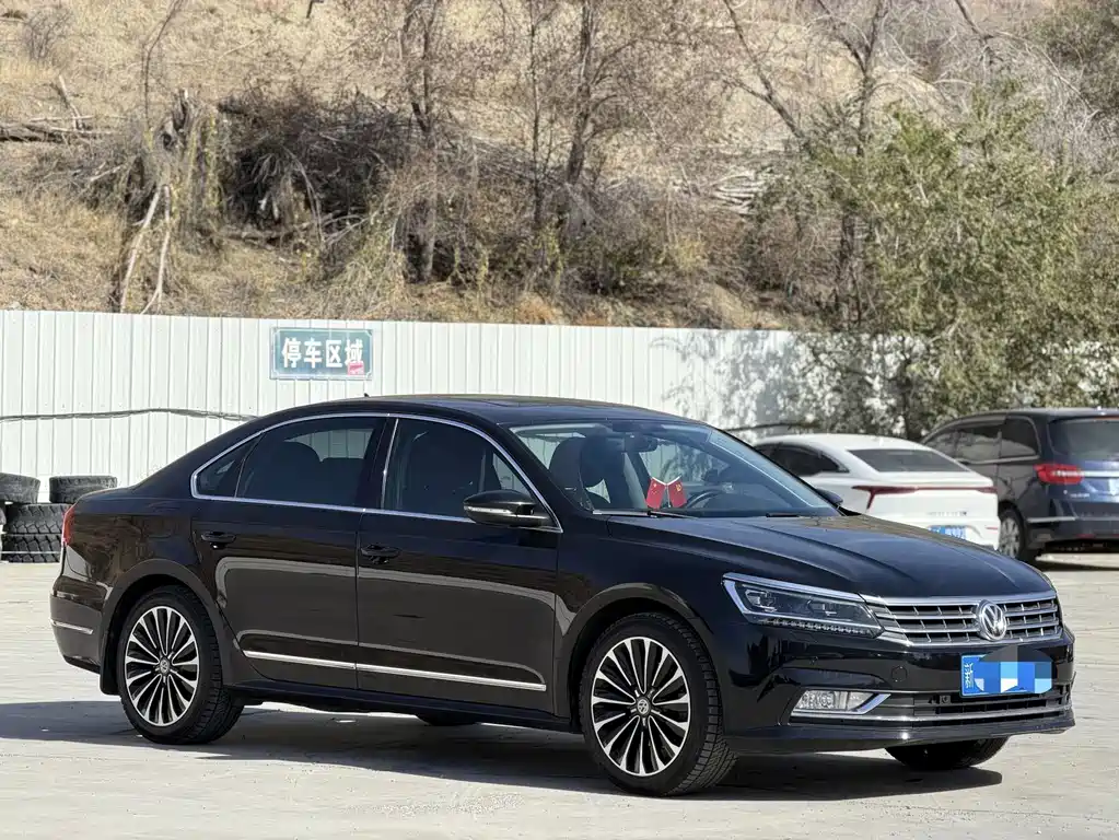 Volkswagen Passat — миниатюра 3