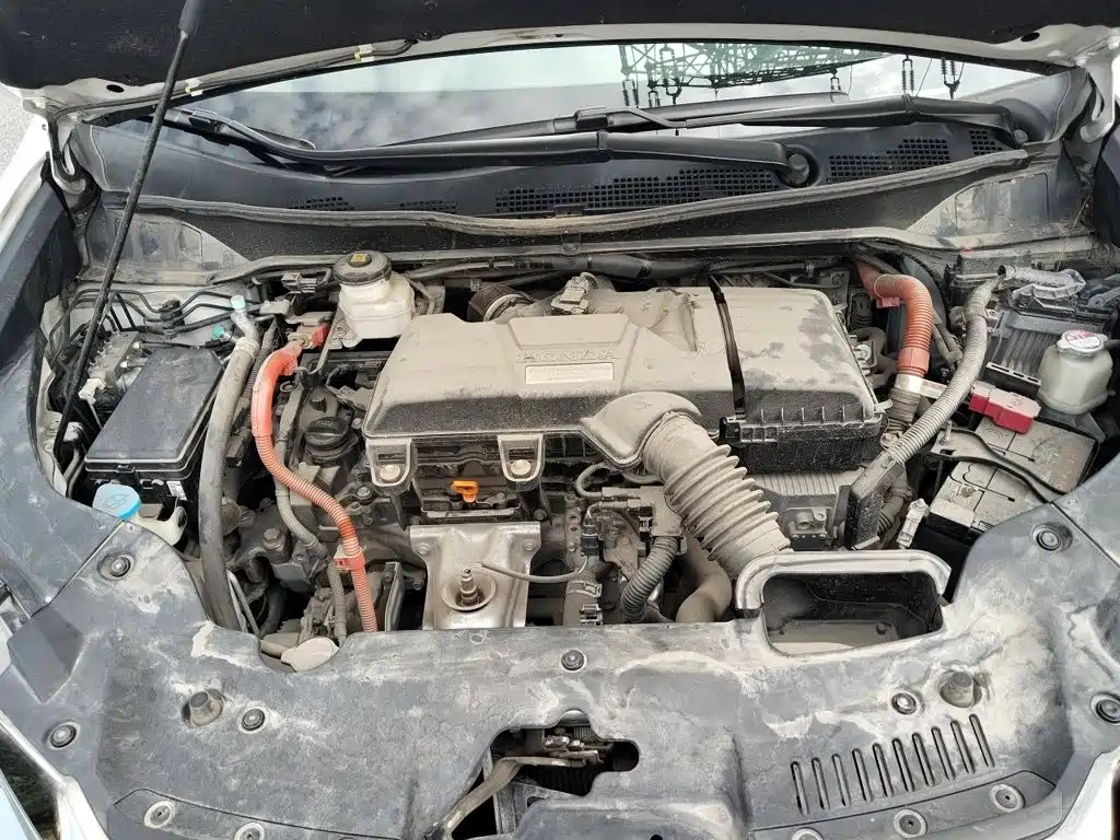 Honda Elysion — миниатюра 16