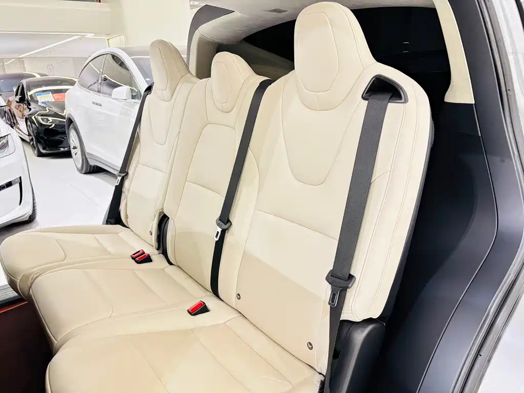 Tesla Model X — миниатюра 22