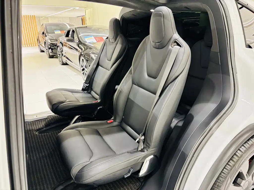 Tesla Model X — миниатюра 23