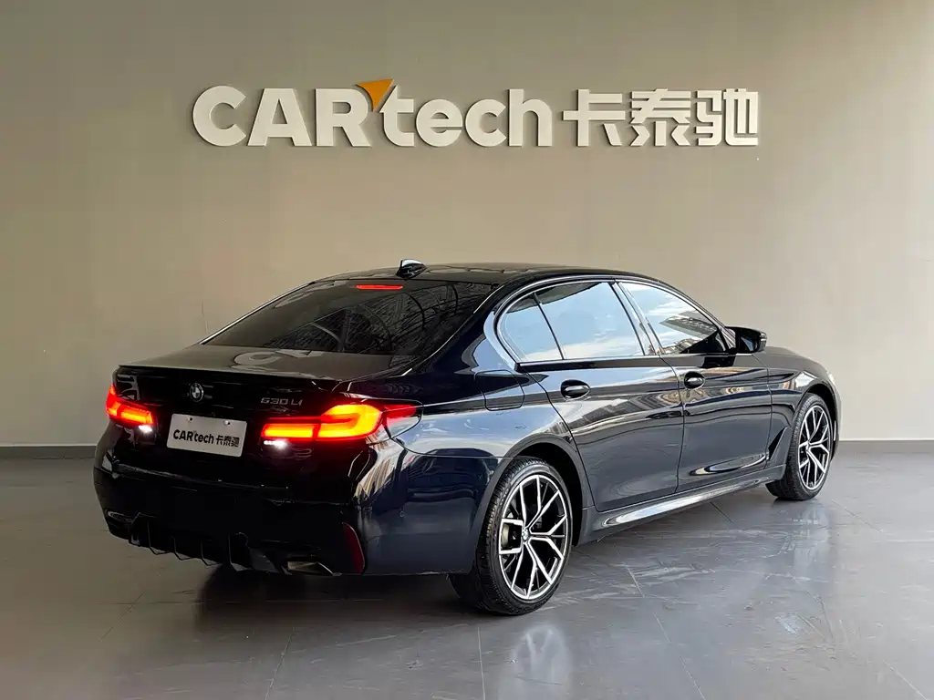 BMW 5 Series — миниатюра 4