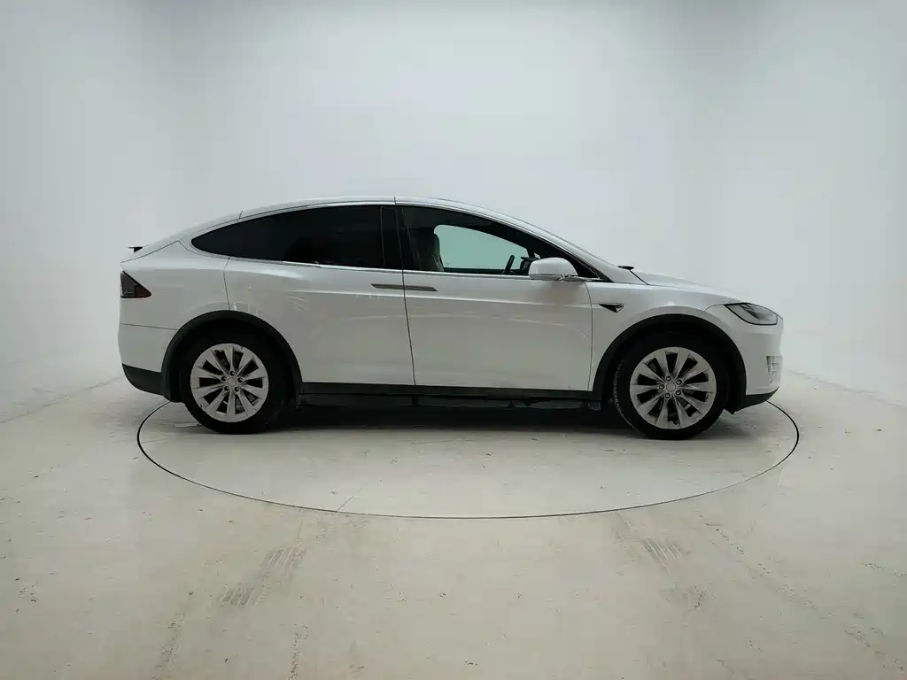 Tesla Model X — миниатюра 8