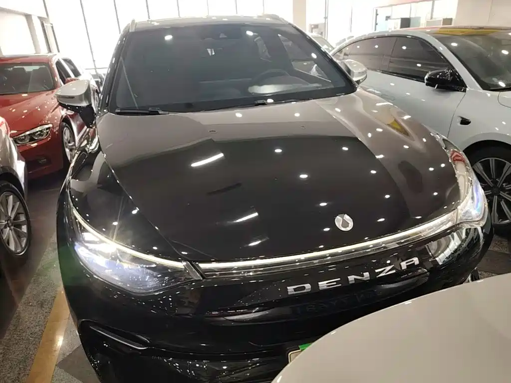 Denza Denza X — миниатюра 3