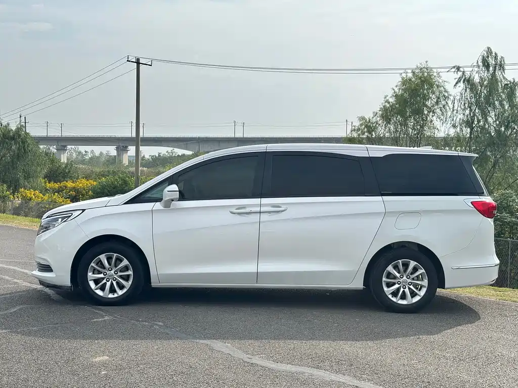 Buick GL8 — миниатюра 15