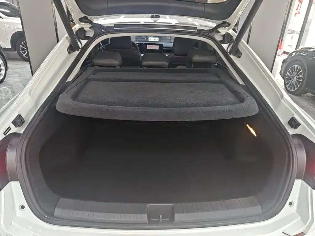 Volkswagen Lamando — миниатюра 19