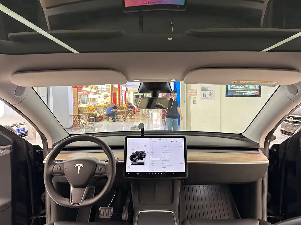 Tesla Model Y — миниатюра 19