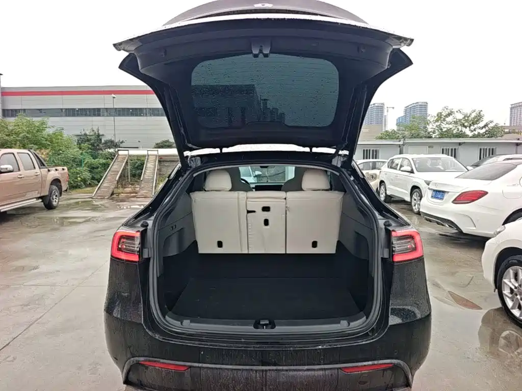 Tesla Model Y — миниатюра 19
