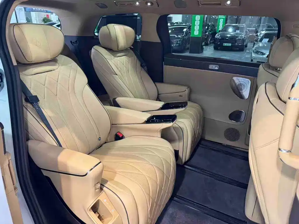 Denza Denza D9 — миниатюра 15