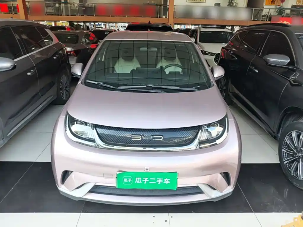 BYD Dolphin — миниатюра 3