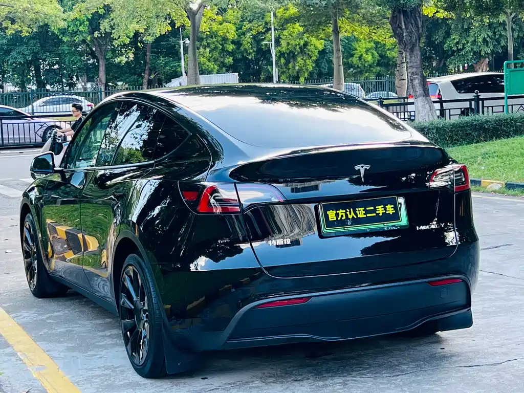Tesla Model Y — миниатюра 6