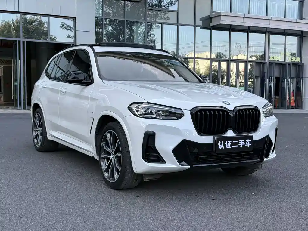 BMW X3 — миниатюра 3