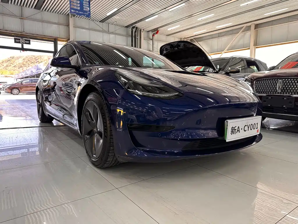 Tesla Model 3 — миниатюра 3
