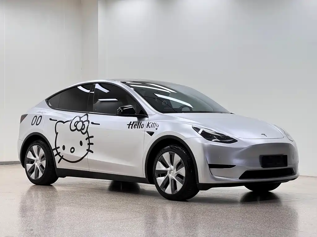 Tesla Model Y — миниатюра 3