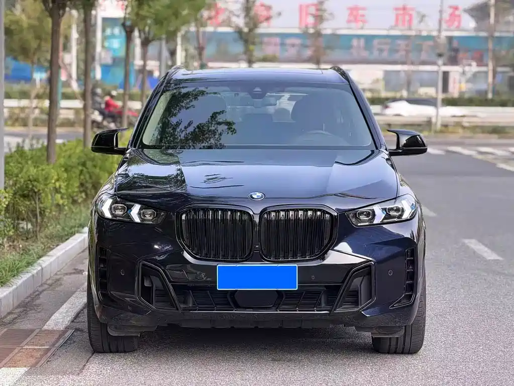 BMW X5 (Import) — миниатюра 2