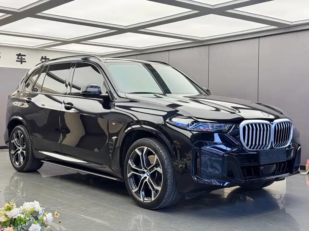 BMW X5 — миниатюра 3