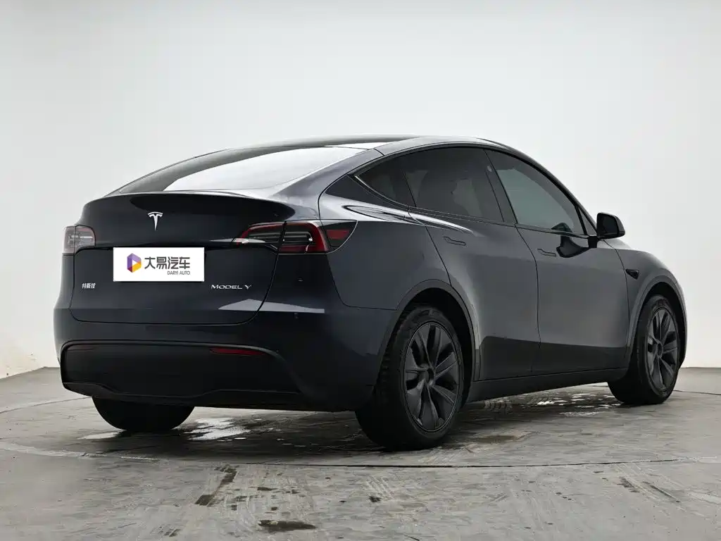 Tesla Model Y — миниатюра 3