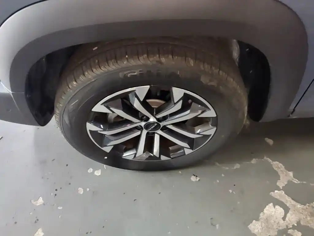 Haval Big Dog — миниатюра 23