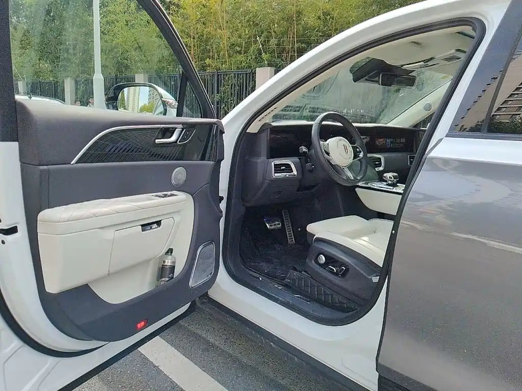 Hongqi Hongqi E-HS9 — миниатюра 17