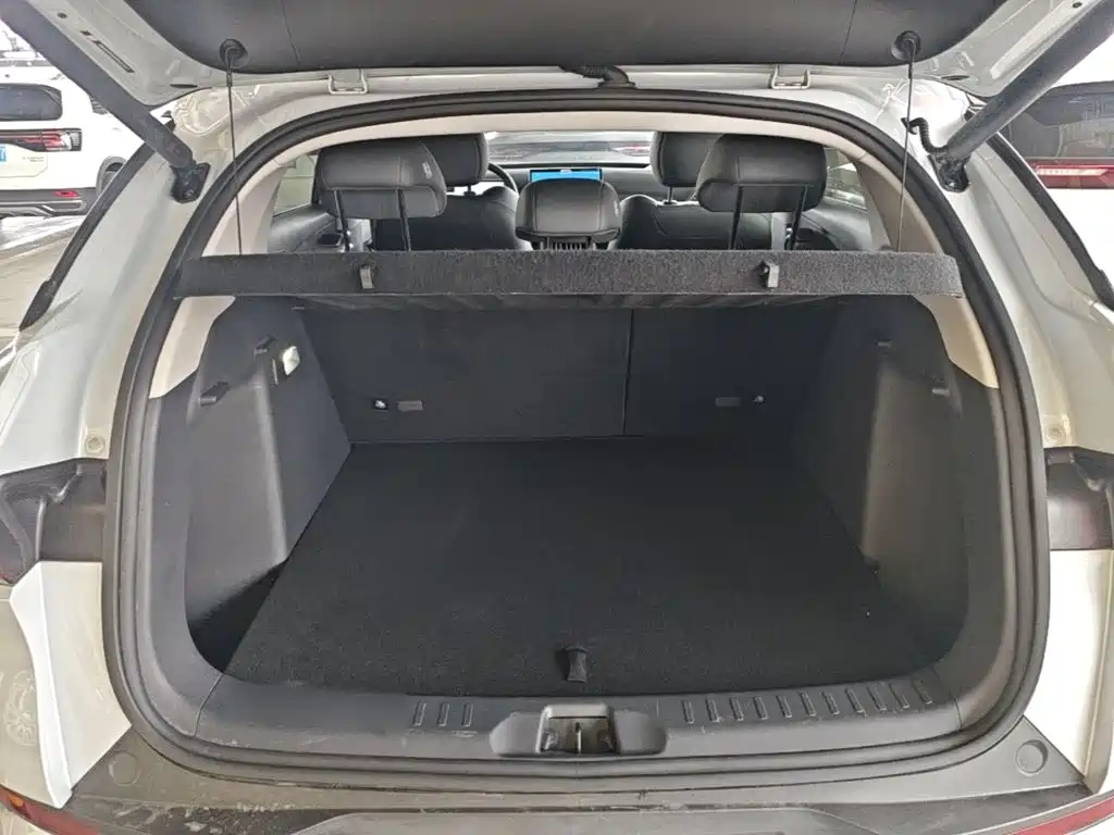 BYD Yuan Plus — миниатюра 19