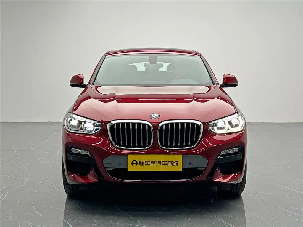 BMW X4 2019 xDrive25i M