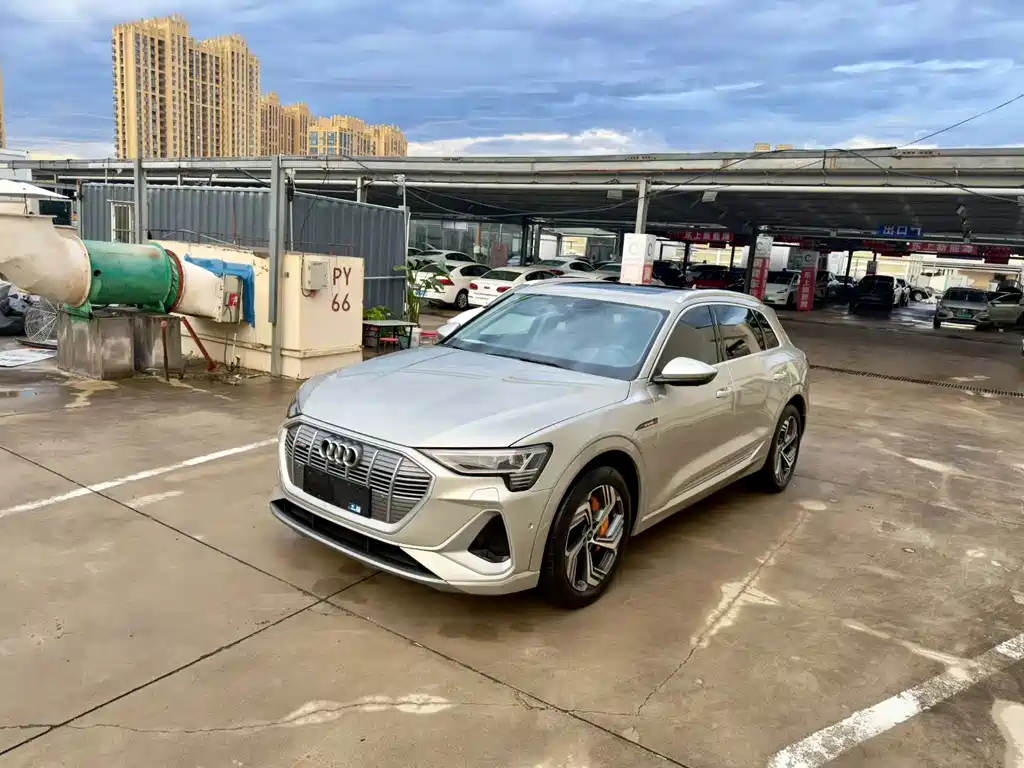 Audi e-tron — миниатюра 6