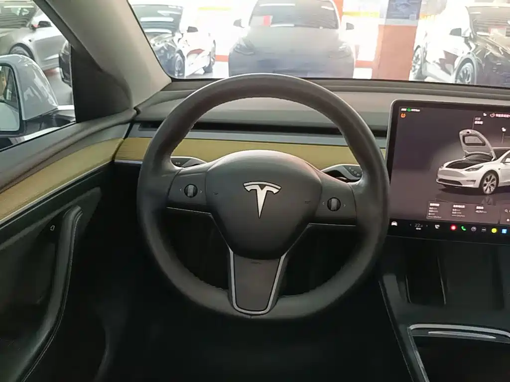 Tesla Model Y — фотографии объявления, Фото 12
