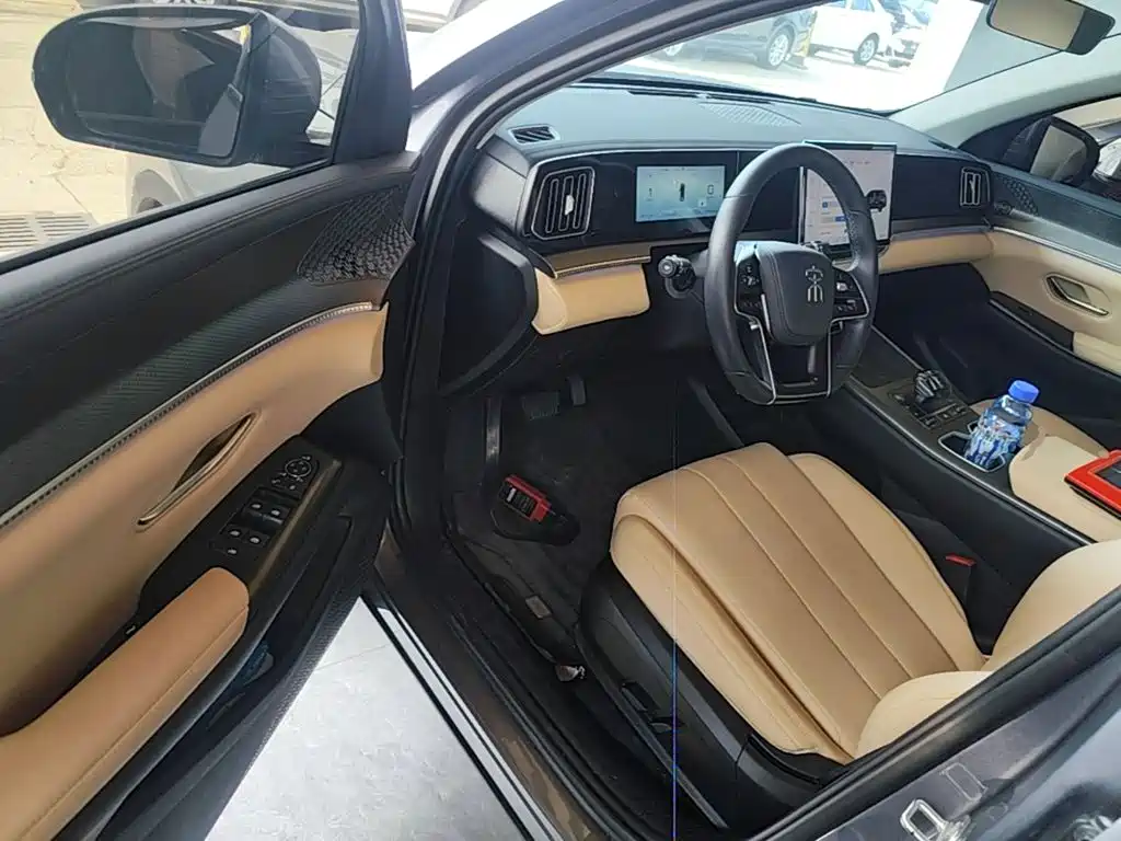BYD Pro New Energy — миниатюра 16