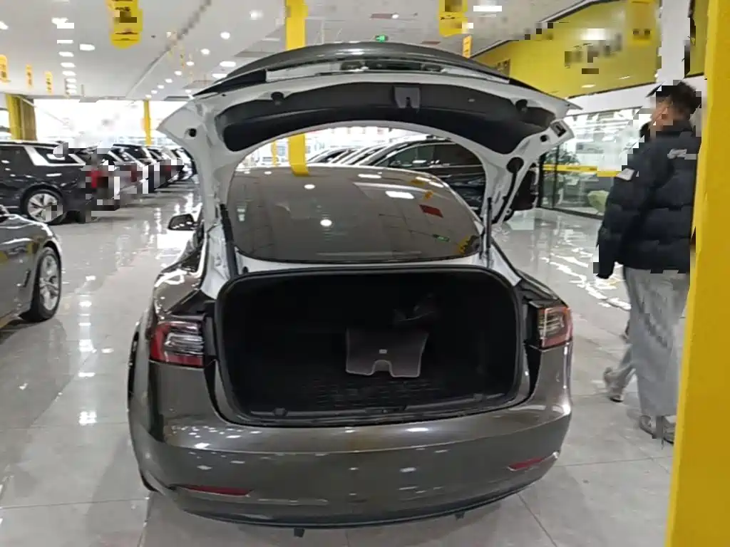 Tesla Model 3 — миниатюра 19