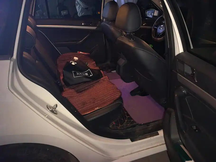 Volkswagen Gran Lavida — миниатюра 11