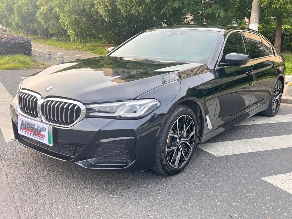 BMW 5 Series New Energy 2019