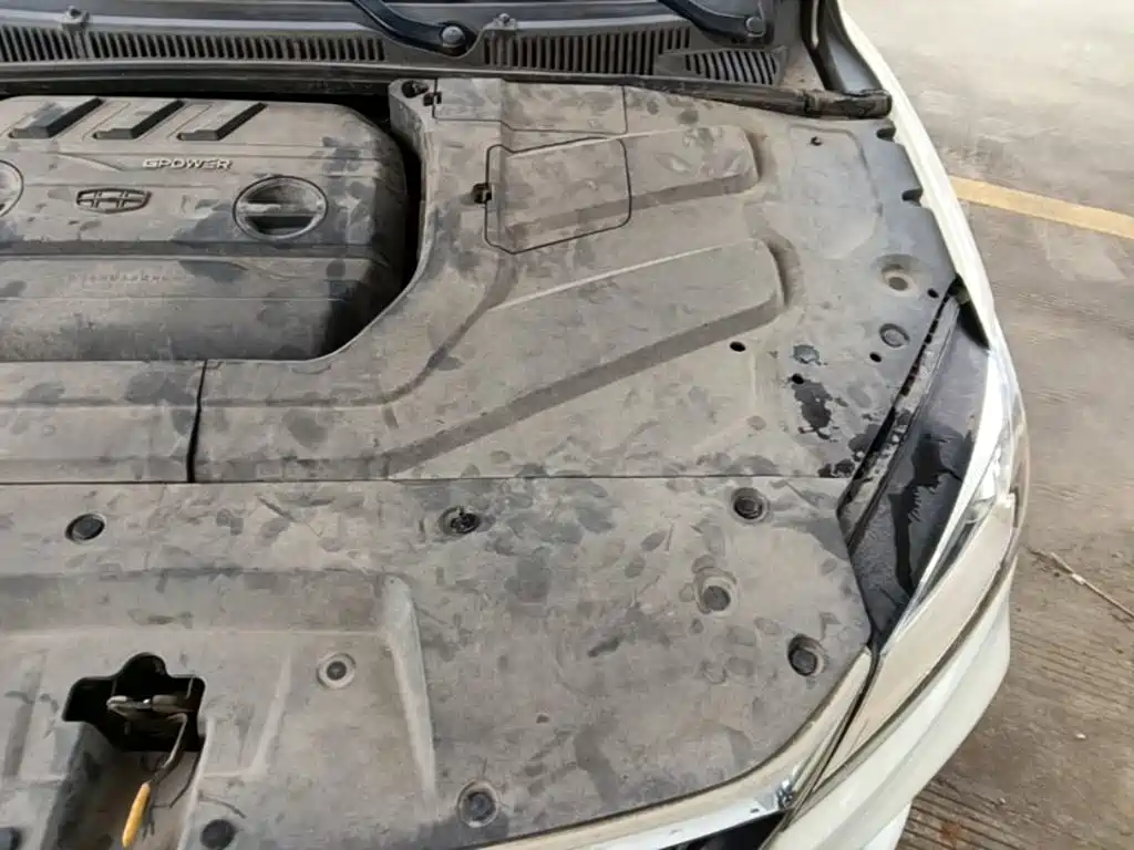 Geely Binrui — миниатюра 20