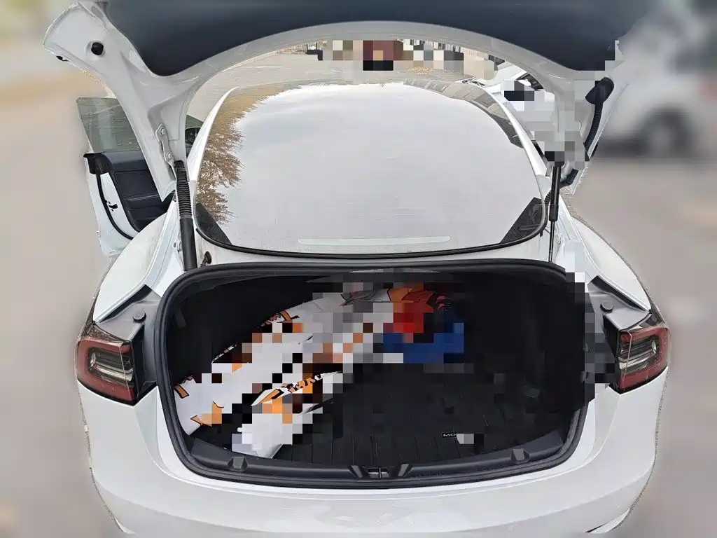 Tesla Model 3 — миниатюра 20