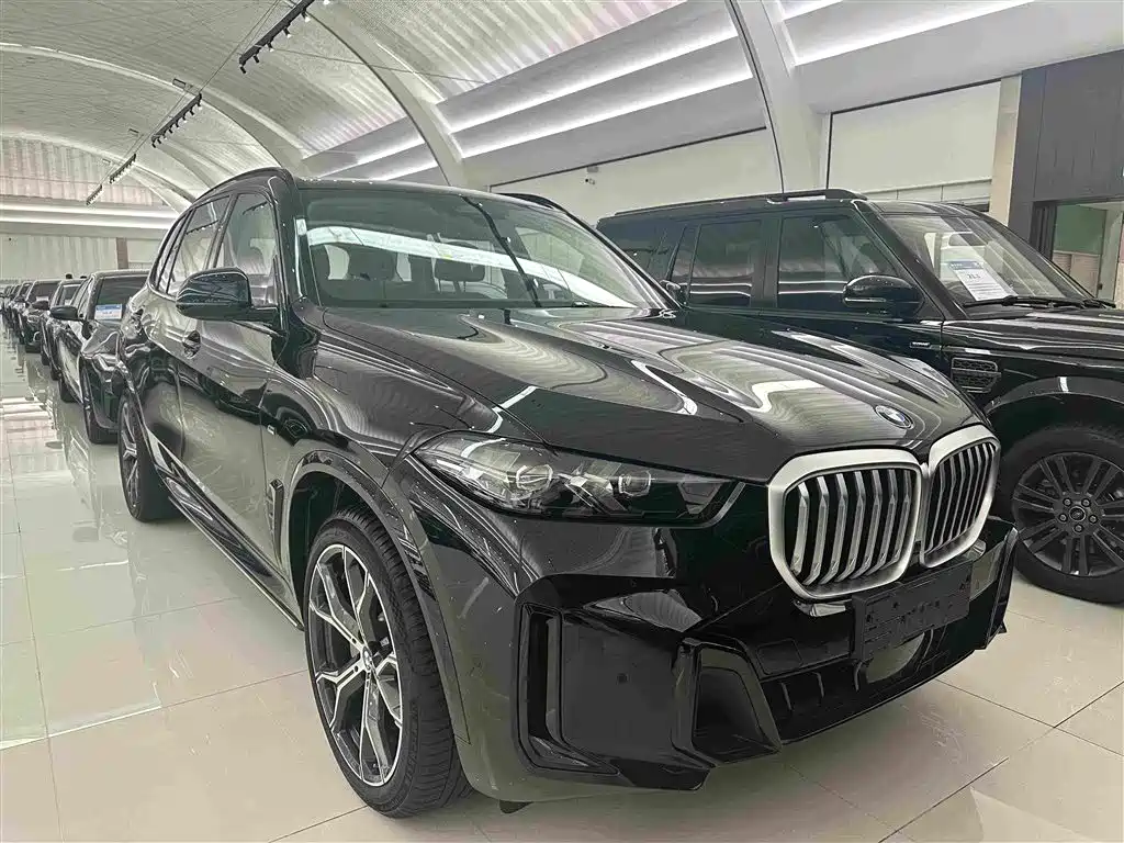 BMW X5 — миниатюра 4