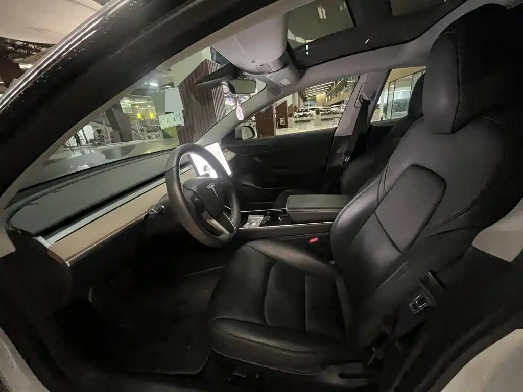 Tesla Model 3 — миниатюра 4