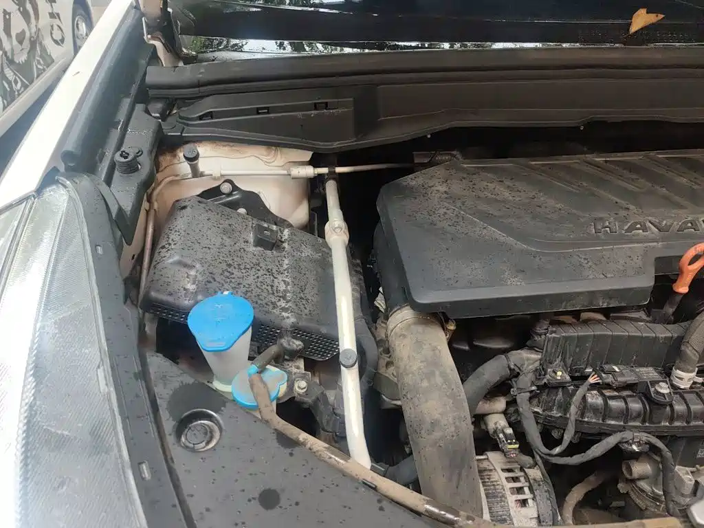 Haval H6 Coupe — миниатюра 20