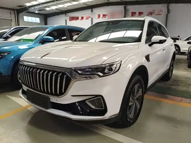 2021 Hongqi HS5