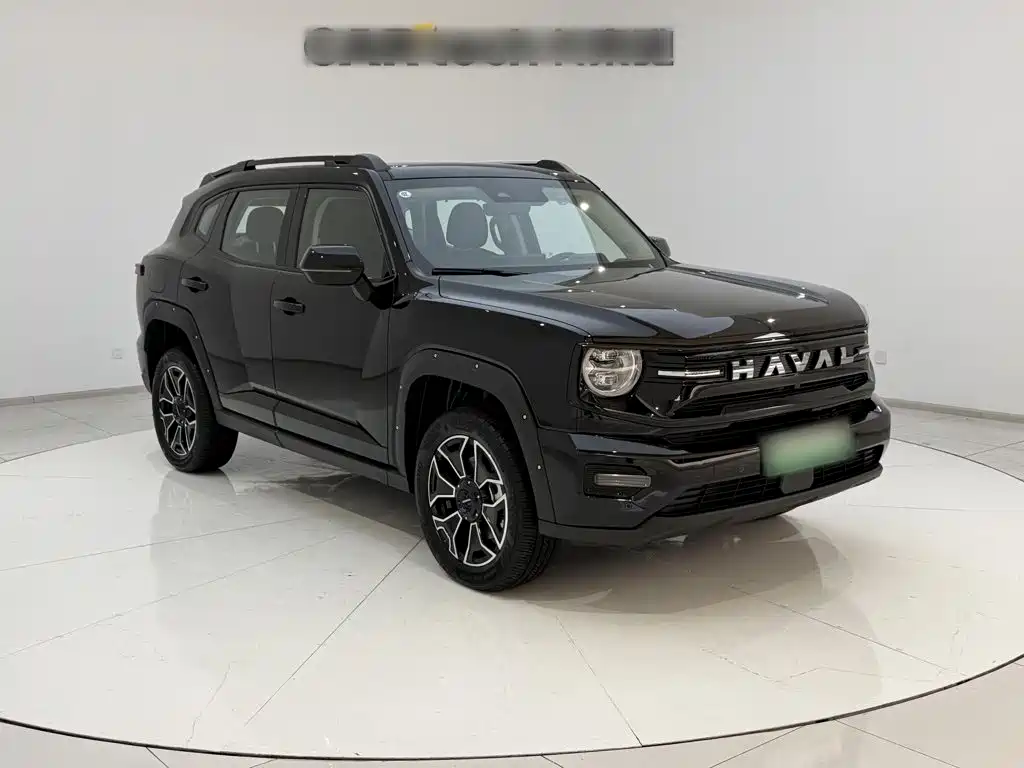 Haval Big Dog PLUS New Energy — миниатюра 6