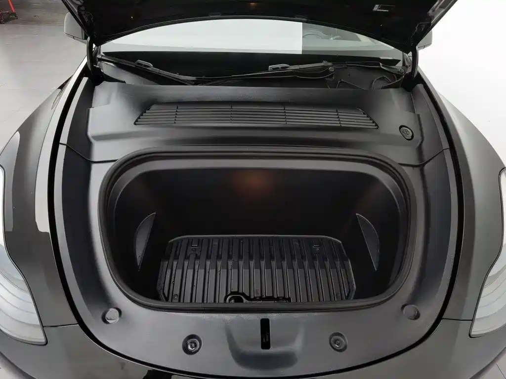 Tesla Model Y — миниатюра 6
