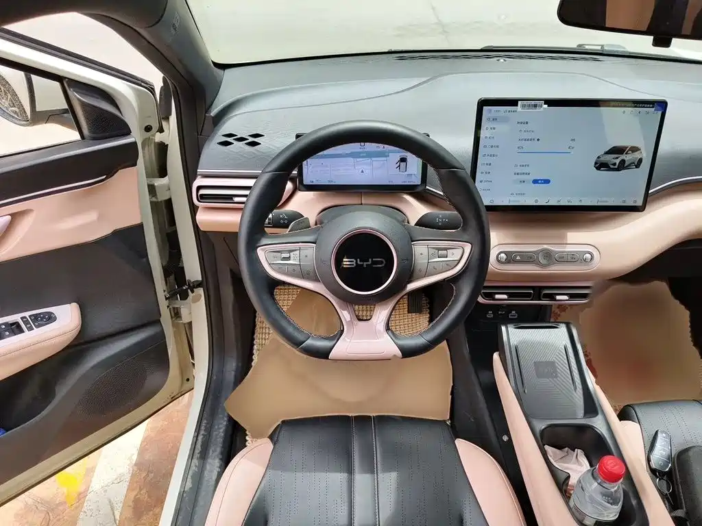 BYD Seagull 2025 Smart Drive 305km Freedom